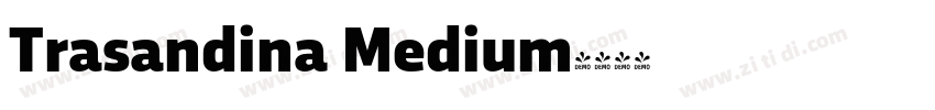 Trasandina Medium字体转换